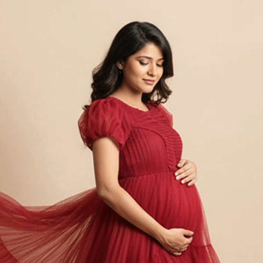 Maroon Netted Frills Tail Gown